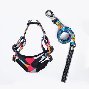 Comfortable Dog Harness and Leach